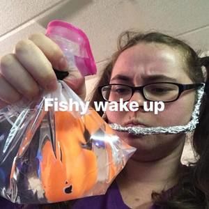 Meet your Posher, Haley